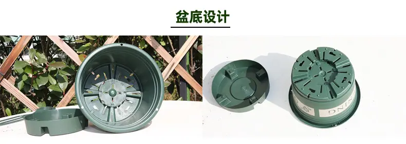 盆底设计.jpg