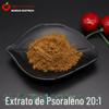 Extrato de Psoralea corylifolia 20:1 Fruto de Madeira Psoralea corylifolia Biológica em pó Extrato de Psoralea corylifolia Psoralea corylifolia em pó frete grátis