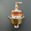 Válvula de Purga Automática para Radiador Aluminio Transparente Acero Inoxidable Tipo Aguja Grande Aislamiento Válvula de Purga Vertical para Radiador Válvula de Desinflado