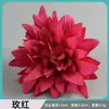 Flor de Epiphyllum Simulada Personalización OEM Personalización ODM Cambio de Color Muestreo Fondo de Boda Flor Artificial Fuente de Fábrica Personalización al por Mayor