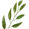 Venta Directa de Fábrica de Ramas Artificiales, Hojas de Mango y Hojas Decorativas Falsas para Proyectos de Paisajismo, Específicamente para Vegetación y Diseño de Paisajes