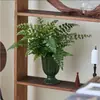 Planta en maceta Helecho Jim para sala de estar interior, Helecho de hoja perenne, Purificador de aire, Fácil de cuidar, Planta verde popular, Tolerante a la sombra