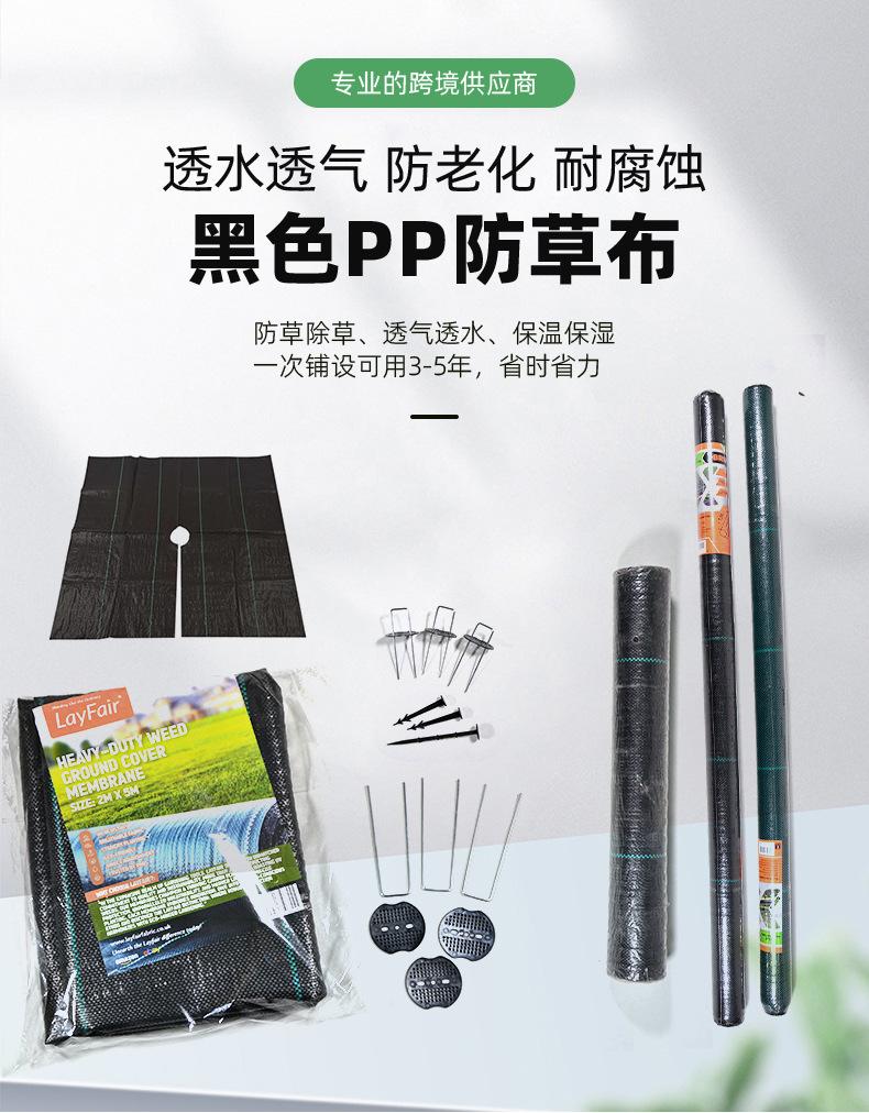 详情页-临沭华际塑编有限公司-2_02.jpg