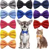 Laços Populares para Pets 2025 Laços Borgonha Preto para Pets Laços Formais Estilo Britânico Coreano