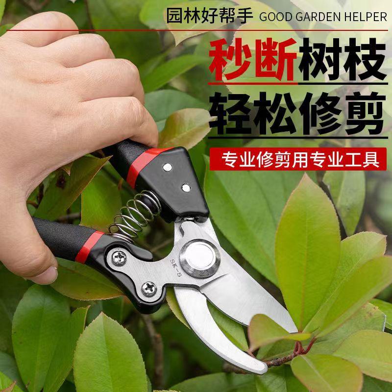 1e8f45cb54c38a77eaf173075dc9b5