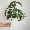 12 Folhas de Begônia Folhas de Chuva de Primavera Flores Artificiais de Casamento Fotografia Planta de Casa Decoração Floral Mori Vestido Suave Simulação Plantas Verdes