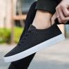 Zapatos de lona de verano nuevos para hombre, zapatos de tabla ligeros y transpirables, zapatos casuales de moda coreana, zapatos de tela de Beijing con cordones para hombre
