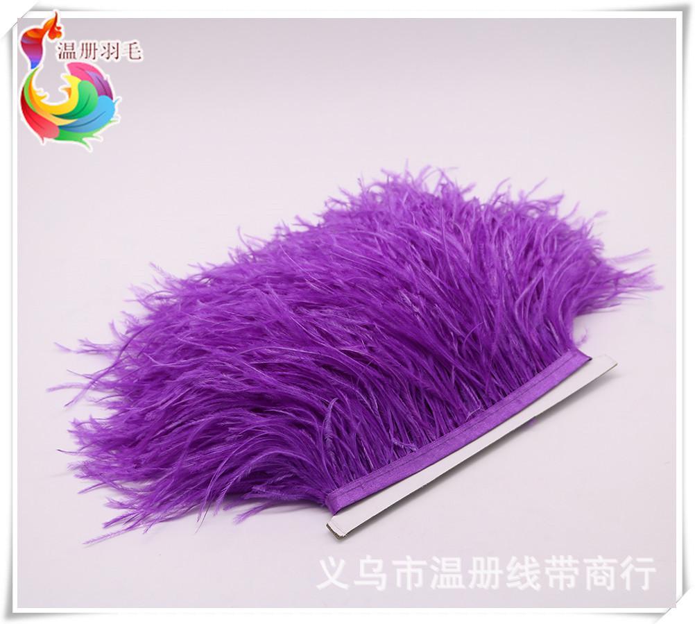 34 0-34 purple ostrich feather