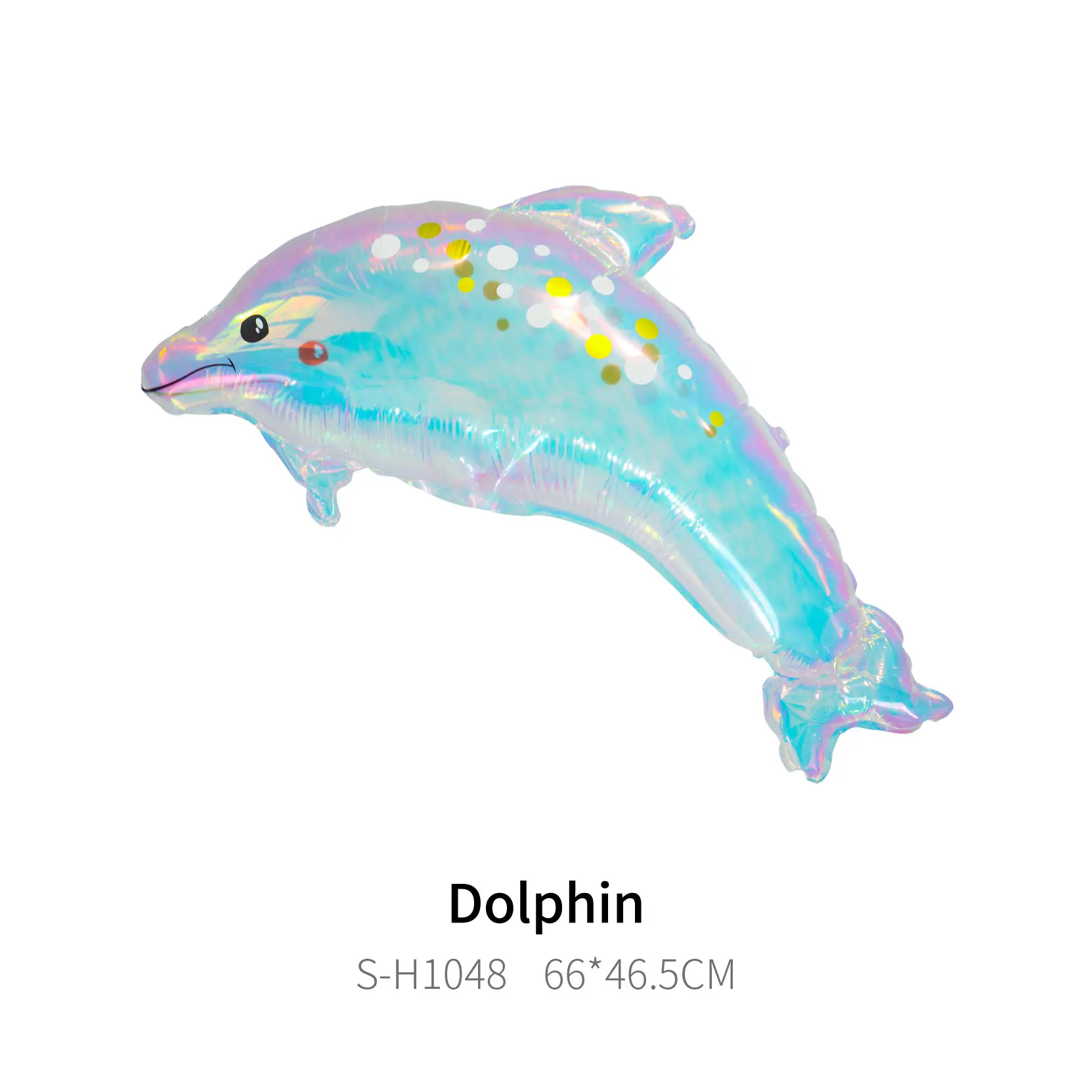 海豚