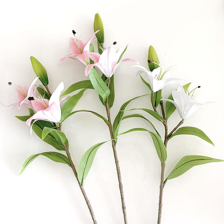 QQ图片20220819141318