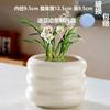 Vaso de Flores Cerâmico Atacado com Prato Estilo Doméstico Ins Luxo Acessível Vaso de Flores Suculentas High-End Dropshipping Etiquetagem Temu