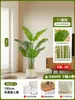 Palmera Areca Simulada, Árbol Artificial de Alto Gama Estilo Lujo Ligero, Decoración para Sala de Estar Interior, Paisajismo de Pie, Planta Verde Artificial en Maceta