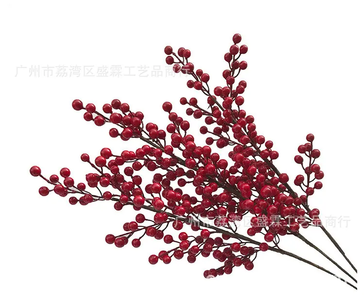 红果-(1)_05.jpg