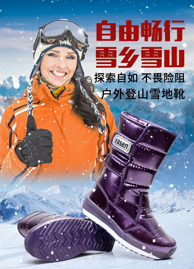 790详情