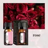 Óleo Essencial Aromaterapia Solúvel em Água Ponto de Fábrica 10ml Purificador de Ar Aromaterapia Umidificador Difusor Fragrância de Longa Duração