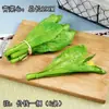 Legumes de Simulação Salsão Cebolinha Brotos de Alho Salsão Chinês Legumes Verdes Modelos Decoração de Gabinete Sala de Modelos Enfeites Adereços para Fotografia