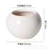 Maceta de Cerámica Ins Flor Blanca Porcelana Creativa Simple Interior Maceta para Plantas Verdes Regalo Moderno Estilo Ins Suculenta Regalo de Negocios