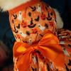 Ropa para Mascotas Vestido de Fiesta de Halloween Plataforma Transfronteriza Vestido de Princesa Tema Naranja Mascota Perro Vestido para Perro