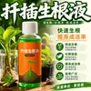 [Cortes de Olhos Fechados] Agente de Enraizamento para Cortar Ramos e Caules de Flores, Rosa e Hortênsia, Líquido de Corte Universal para Árvores Frutíferas
