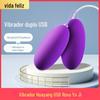Frete Grátis Yuji Huayang Ovo Vibratório USB Roxo Controle Remoto com Fio Alimentação Direta na Tomada Brinquedo Sexual Feminino Brinquedo de Ovo Vibratório