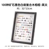 Espécimes minerais: 100 Tipos de Minerais Naturais Arte de Parede DIY, Lascas de Pedras Preciosas de Cristal, Porta-Retrato, Enfeite de Mesa, Presente de Aniversário