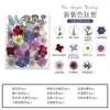 Flores Secas DIY Embossed DIY Pacote de Material Embossado Petal de Foto Marcador de Página Cola de Flor Real Folhas Secas Espécime de Planta