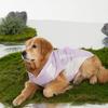 Primavera y Verano Delgado Morado Simple Ropa Fresca para Perro Grande Protección Solar Chaqueta de Dos Patas Ropa para Perro Mascota