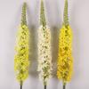 Capim Rabo de Raposa Artificial Delphinium Sala de Estar Flores Artificiais Enfeites Flores Artificiais Decoração de Casa Flor Rabo de Raposa Flores Artificiais