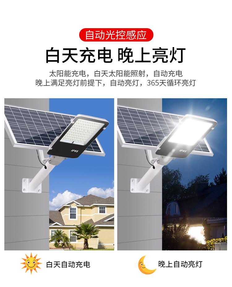2纳米金豆_07.jpg