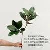 Planta Simulada Hojas de Magnolia al por Mayor Adornos de Camelia Plantas Verdes Flores de Plástico Paisajismo Arreglo Floral Ramas de Magnolia Simuladas Decorativas