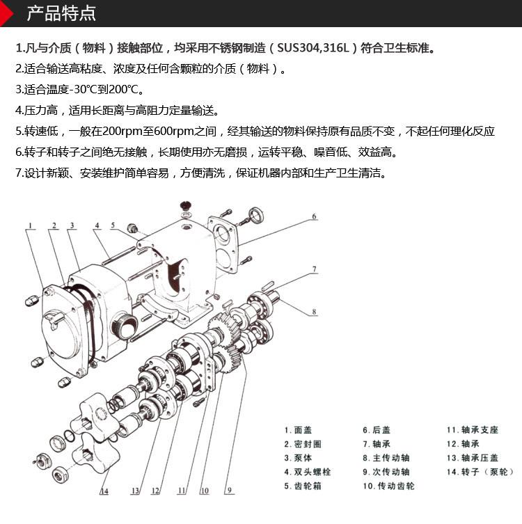 转子泵新_07