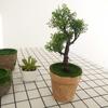 Mini Bonsái Pequeño Pino Pequeño de Alta Simulación Adornos Feng Shui Decoración para el Hogar Pino de Bienvenida Productos de Puesto de Bonsái