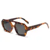 Nuevas Gafas de Sol Irregulares de Doble Puente Transfronterizas Moda Europea y Americana Gafas de Sol Elegantes Gafas de Sol Populares en Ins Mismo Estilo