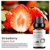 Exportación Transfronteriza Aceite Esencial Individual Fragancia Aromaterapia Masaje Aceite Esencial Sándalo Difusor Mayoreo Muestra de 10 ml