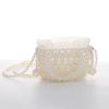 Nuevo Bolso de Noche de Perlas para Banquete de Mujer Estilo Europeo y Americano Bolso de Hombro Elegante Bolso Cosmético Almacenamiento Bolso de Noche Portátil