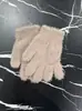 Guantes para Niños de Imitación de Visón Otoño e Invierno a Prueba de Frío y Cálidos Guantes de Dedo Completo para Estudiantes Hombres y Mujeres en Clase Guantes de Ciclismo Fabricante
