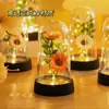 Flores Conservadas Eternas Cubierta Transparente Figura Bloque de Construcción Muñeca Modelo de Mano Luz Nocturna Cilíndrica A Prueba de Polvo Acrílico Anti-Caída Mayoreo