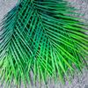 Set de Plantas Verdes Transfronterizo con 9 Hojas Grandes de Hierro de Palma Areca y Drácena, Adecuado para Decoración Interior y Exterior, Flores Artificiales