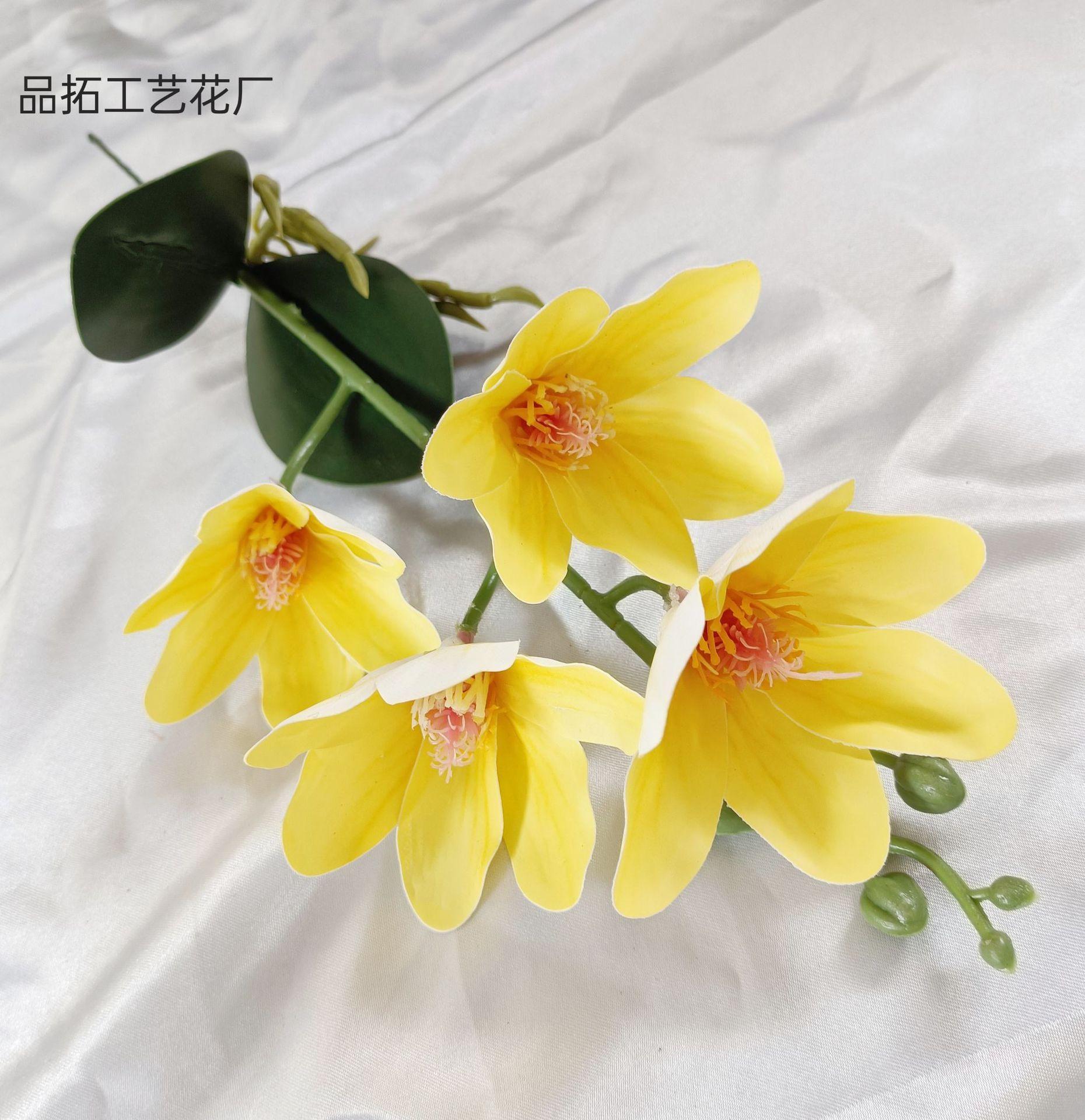 d179fa372af994dac3f8e26bd61192