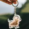 Llavero Recolector de Pelo de Perro para Recuerdo de Mascota, Linda Cápsula de Caniche, Recuerdo DIY de Pelo de Mascota, Siempre Lleva Recuerdos, Botella de Plástico Transparente, Cabe Pelo de Perro, Pelo y Cenizas