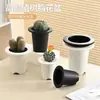 Ventas Directas de Fábrica Producto Nuevo Maceta Perenne Gruesa Maceta de Plástico para Flores Maceta para Suculentas Frosty Negra y Blanca Tubérculo Cactus