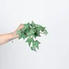 Planta Suculenta Cola Macia Grama Moeda de Cobre Folha Vermelha de Calla Folha de Tartaruga Trevo Planta Verde Artificial Decoração Suspensa Paisagismo