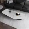 Mesa de Centro Creativa de Forma Irregular Lujo Ligero Moderna Minimalista Celebridad de Internet Estilo Italiano Apartamento Pequeño Sala de Estar Uso Doméstico