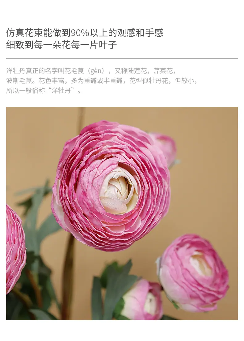 希德洋牡丹_02.jpg