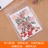 Pacote de Material Embossado com Flores Secas Naturais Puras Espécime de Planta Flor Real Pétalas Maquiagem DIY Cartão Postal Cartão de Saudação Marcador de Página Produção