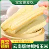 Maíz del tamaño de un pulgar de Yunnan Xishuangbanna de 2.5 kg, mini maíz de dedo fresco, fragante y pegajoso de la familia Dai, para niños