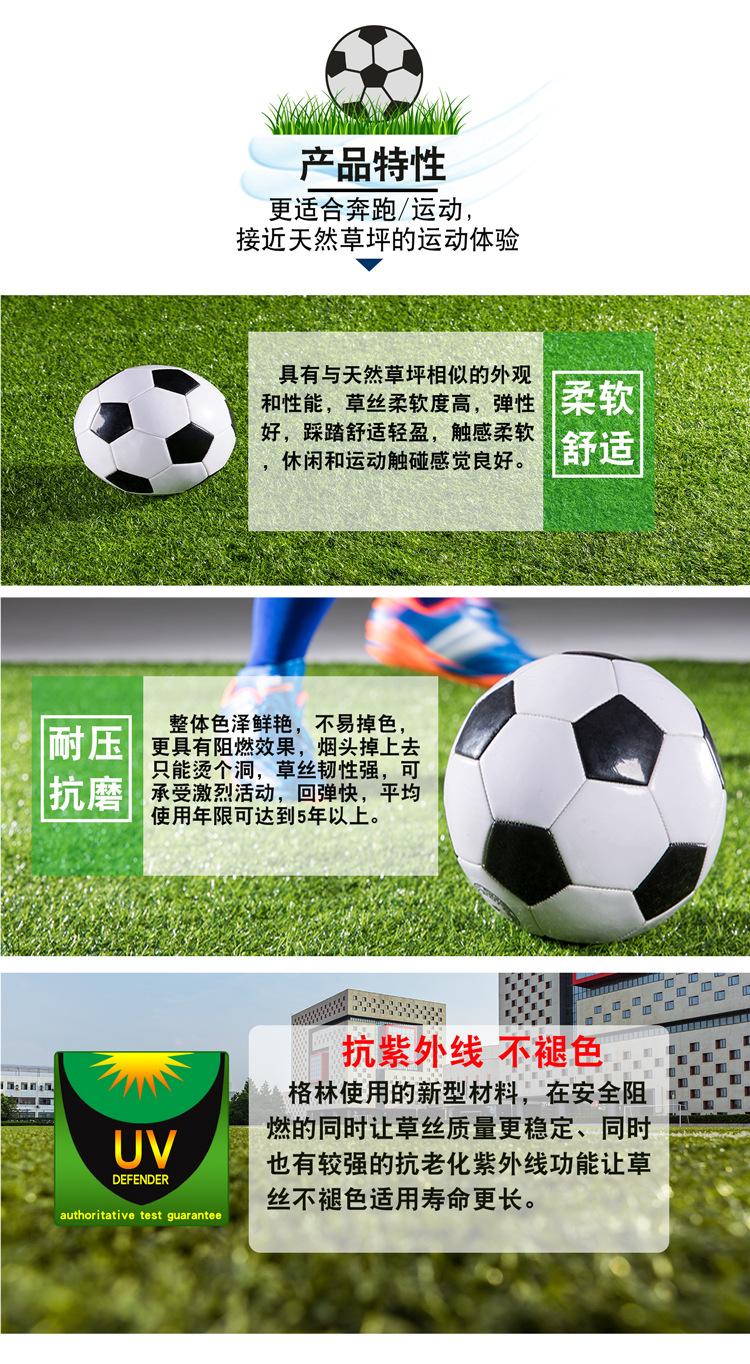 新版足球场中_03