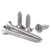 Tornillos Autorroscantes de Acero Inoxidable 304 Gb846 de Cabeza Avellanada Phillips St1-St2.9 Cabeza Plana