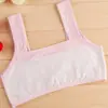 Qiao Maner 9055 Estudiantes de Secundaria Delgada Ropa Interior para Chicas de Preparatoria Estilo Coreano Color Sólido Chaleco de Desarrollo Sujetador