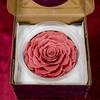 Flor Eterna de Yunnan Cabeza de Rosa 9-10cm Grado A Material Djy Regalo de San Valentín Arreglo Floral Ramo de Flores Frescas